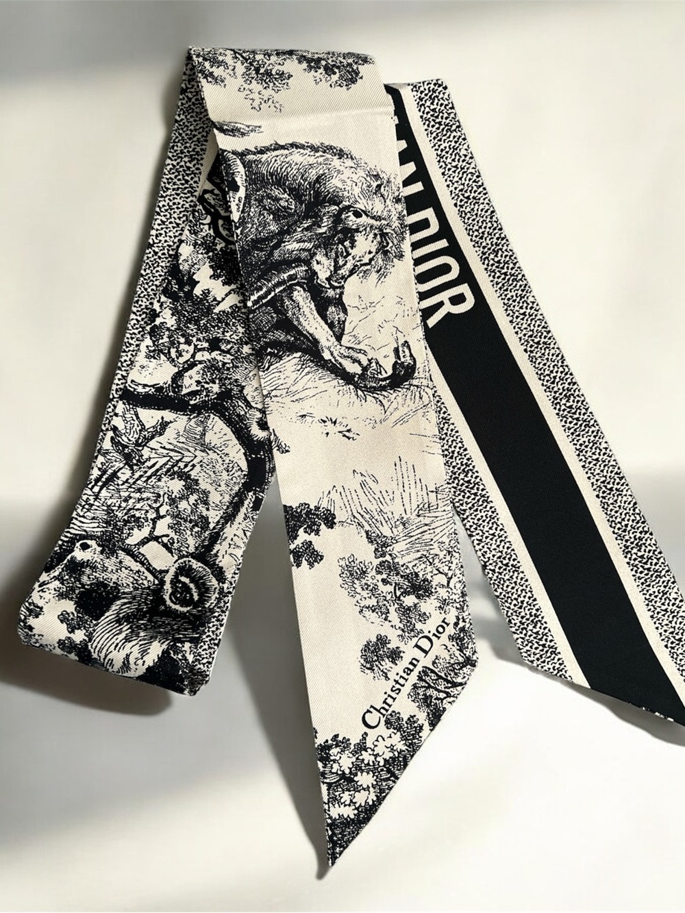 Dior toile de jouy sauvage mitzah twilly